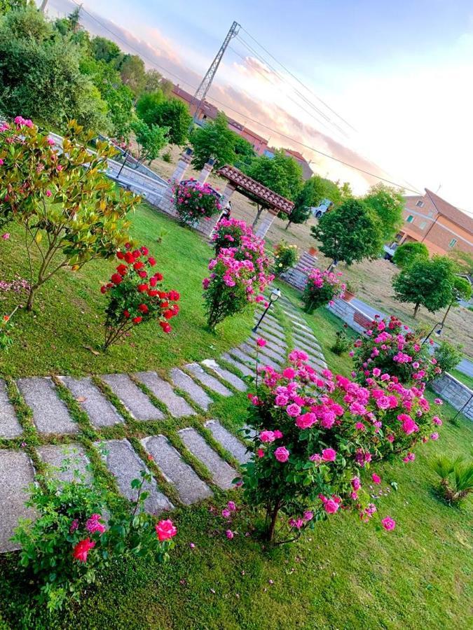 B&B Da Mary Matrice Exterior foto
